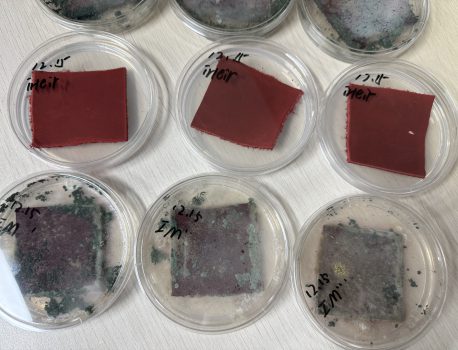 汽车内饰人造革抗菌处理方法