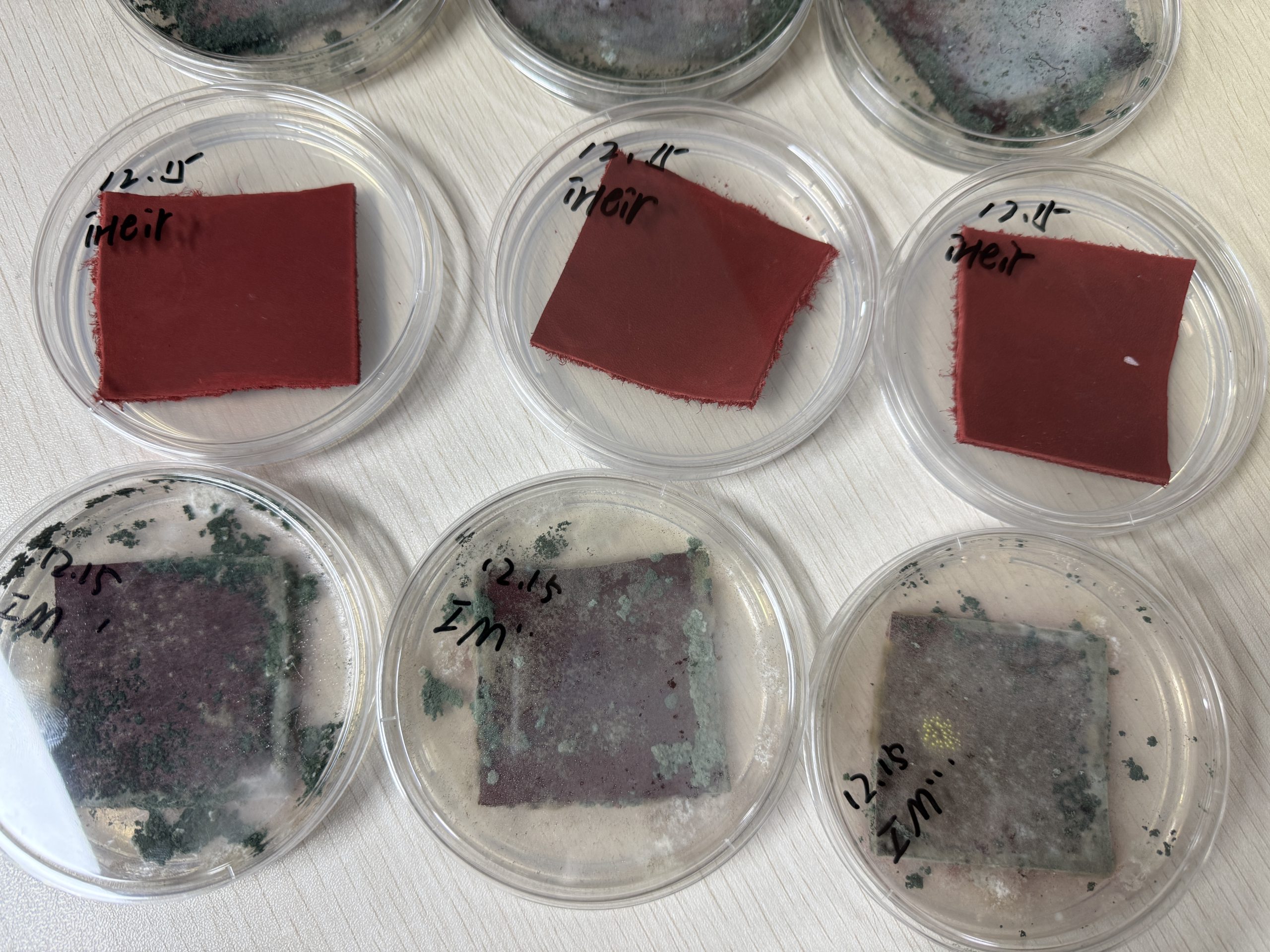 汽车内饰人造革抗菌处理方法