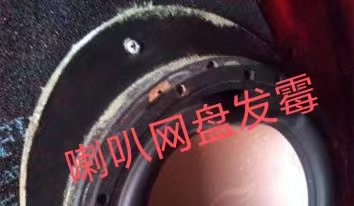 工厂音箱批量发霉处理 广州艾浩尔翻箱除霉服务公司